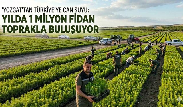 Yozgat’tan Türkiye’ye Can Suyu: Yılda 1 Milyon Fidan Toprakla Buluşuyor