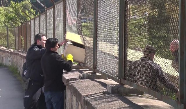 SON DAKİKA! Ormanda asılı halde bulundu: Polis geniş çaplı inceleme başlattı