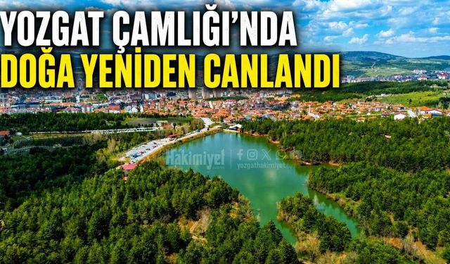 Yozgat Çamlığı’nda Doğa Yeniden Canlandı!