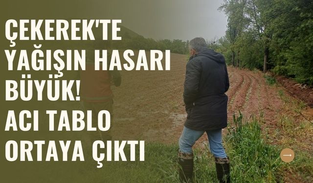 Çekerek'te Yağışın Hasarı Büyük! Acı Tablo Ortaya Çıktı
