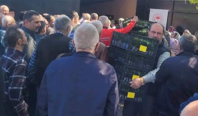 Domates, biber, salatalık… 124 bin tanesi çiftçiye ücretsiz dağıtıldı