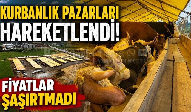 Kurbanlık Pazarları Hareketlendi! Fiyatlar Şaşırtmadı