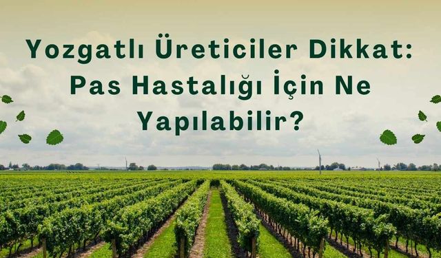 Yozgatlı Üreticiler Dikkat: Pas Hastalığı İçin Ne Yapılabilir?