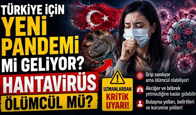 Türkiye İçin Yeni Pandemi mi Geliyor: Hantavirüs Ölümcül mü?