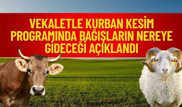 Vekaletle Kurban Kesim Programında Bağışların Nereye Gideceği Açıklandı
