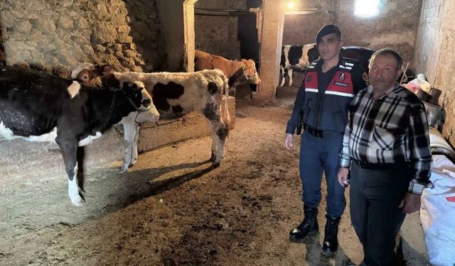 Yozgat'ta Kayıp Olayı: Jandarma Köylünün Yanında!