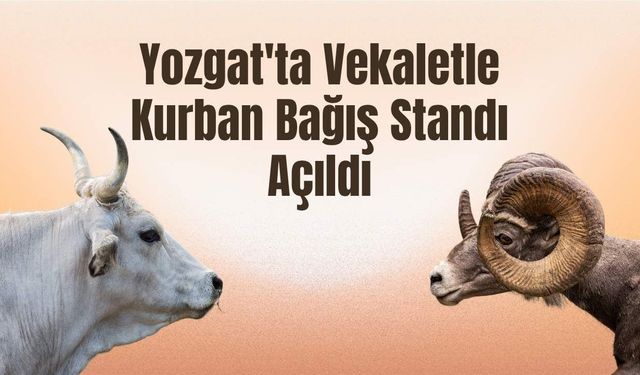 Yozgat'ta Vekaletle Kurban Bağış Standı Açıldı