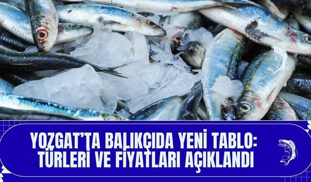 Yozgat’ta Balıkçıda Yeni Tablo: Türleri ve Fiyatları Açıklandı