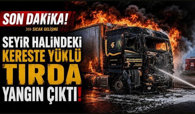Son dakika: Seyir halindeki kereste yüklü tırda yangın çıktı