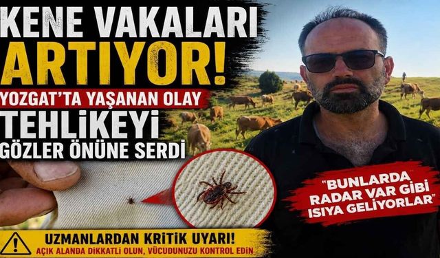 Kene Vakaları Artıyor! Yozgat’ta Yaşanan Olay Tehlikeyi Gözler Önüne Serdi