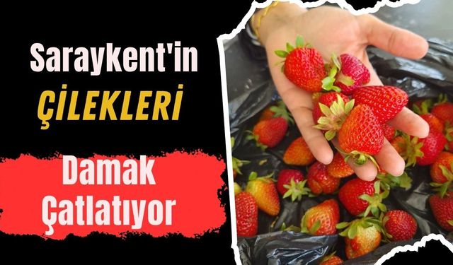 Saraykent'in Çilekleri Damak Çatlatıyor