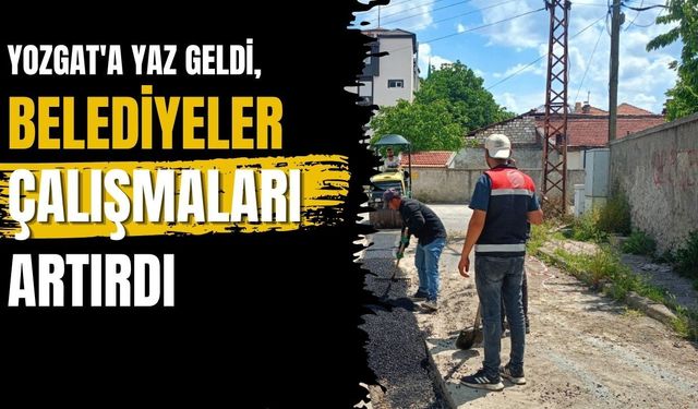 Yozgat'a Yaz Geldi, Belediyeler Çalışmaları Artırdı