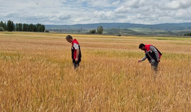 Yozgat'ı Sel Vurdu, Çiftçinin Hasarı Artıyor
