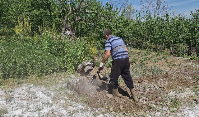 Yozgat'ın Çandır İlçesinde Şeker Pancarı Çapası İşçilik Ücretleri Açıklandı