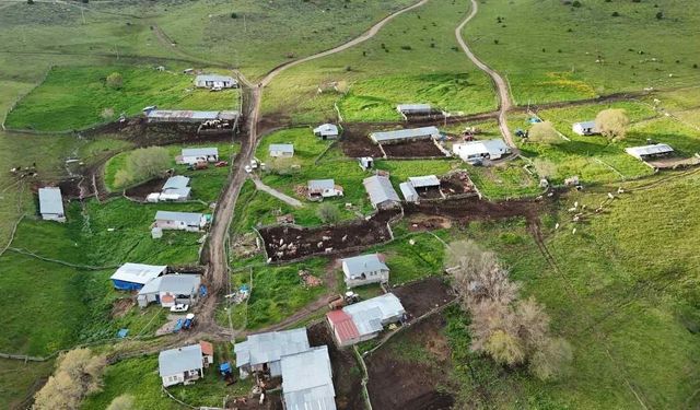 Yozgatlı Besicilerin Yayla Mesaisi Başladı: 2 Bin 100 Rakımda Üretim Dönemi