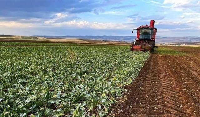Yozgatlı Çiftçilere 1 Temmuz Uyarısı: Belgesi Olmayana İlaç Yok!