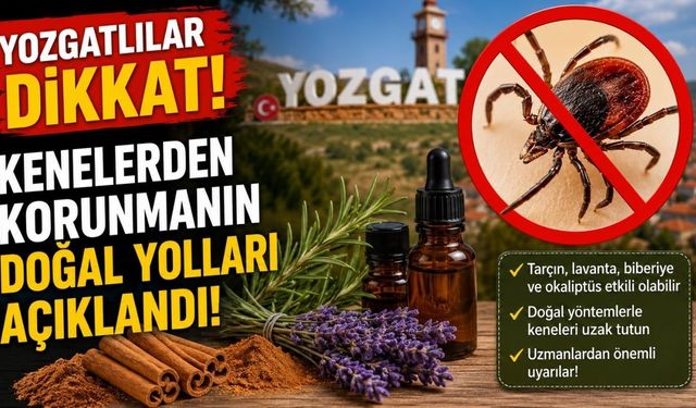 Yozgatlılar Dikkat! Kenelerden Korunmanın Doğal Yolları Açıklandı!