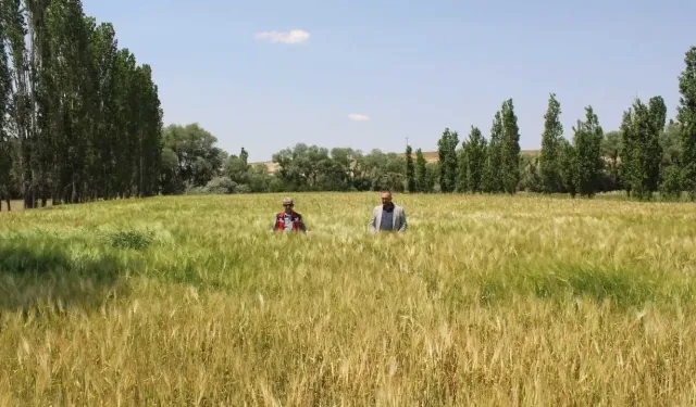 Yozgat’ta Dev Tarım Zirvesi! Türkiye’nin Uzmanları Sorgun’da Geleceği Konuşacak