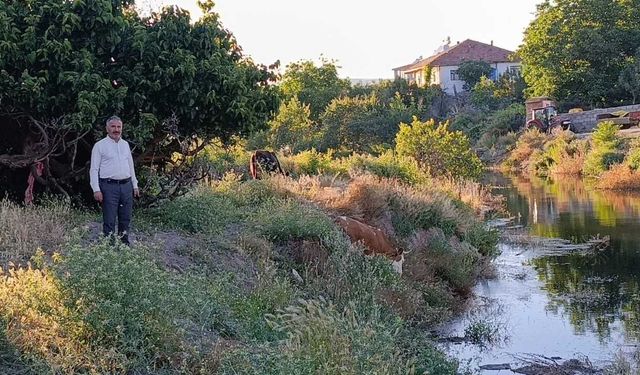 Yozgat'ta Korkutan Manzara! Baraj Taştı, Köyü Yılanlar Bastı