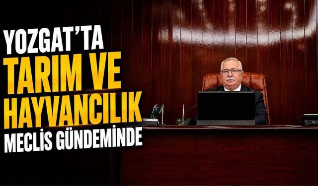 Yozgat'ta Tarım ve Hayvancılık Meclis Gündeminde