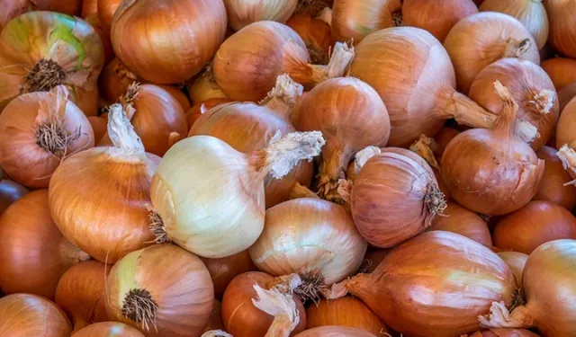 Bakanlıktan kuru soğan tedbiri! Gümrük vergisi yeniden düzenlendi