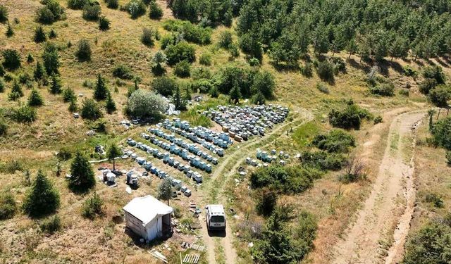 Bozok Yaylası'nda Bal Mesaisi: Kovan Başına 30 Kilo Hedefi