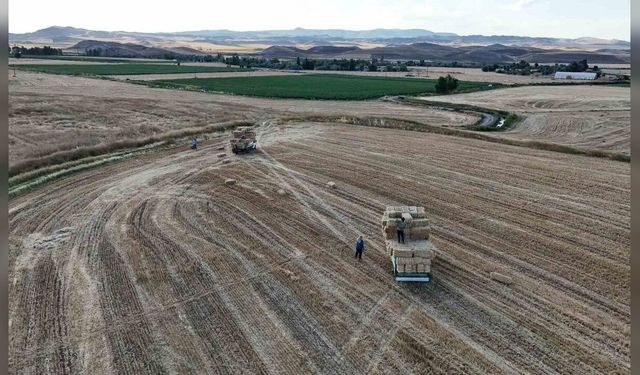Yozgat'ta hasat sonrası balya mesaisi: Günlük kazanç 7 bin liraya ulaştı