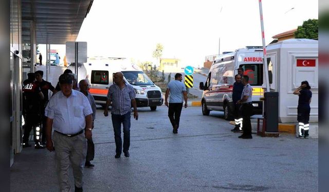 Doç. Dr. Işık açıkladı: Arı sokmasına bağlı ölümler kalp krizi sanılıyor