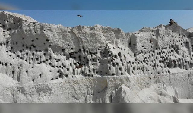 Yozgat'ta şantiye kum yığını kırlangıç apartmanına dönüştü