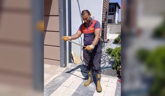 Yozgat’ta evin bahçesindeki yılan itfaiye ekiplerince yakalanarak doğaya salındı