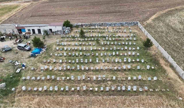 Arıcı maskesini giyip kovanların başına geçti: Belediye başkanı müjdeyi verdi, Yozgat'ta ilk kez düzenlenecek