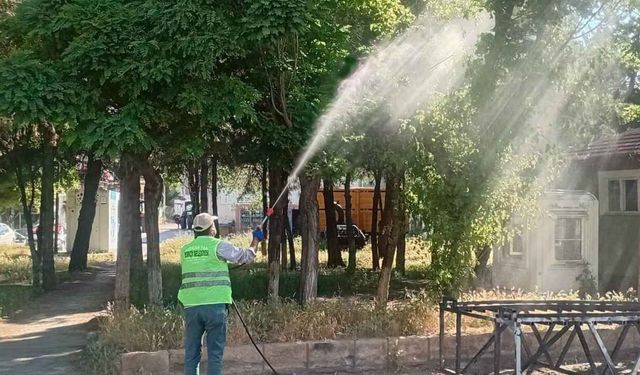 Yerköy'de Halk Sağlığı ve Huzuru İçin Büyük Mücadele