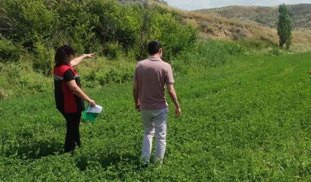 Yerköy'de Tarım Arazilerine Sıkı Kontrol