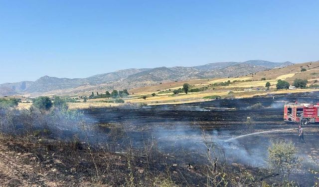Yozgat Aydıncık’ta Alevler Tarlayı Sardı! Ekipler Seferber Oldu