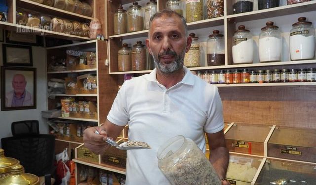 Yozgatlı Aktardan Şifa Deposu Tavsiyesi: Ağaç Kabuğundan Gelen Mucize!