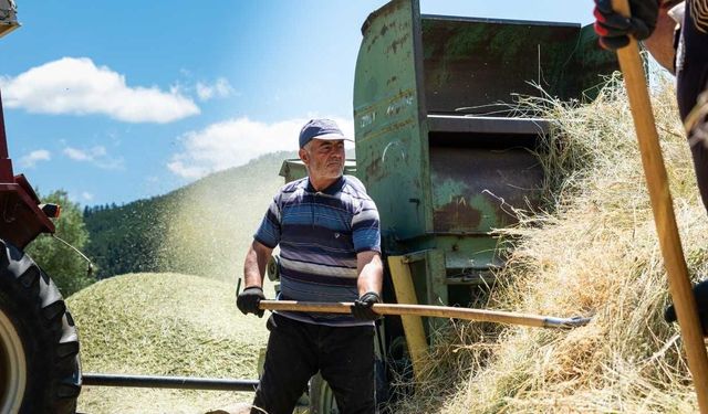 Akdağmadeni’nde Kış Kapıyı Çalmadan Yemler Hazırlanıyor