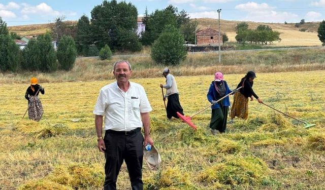 Yozgat'ta Gözler TMO'da! Yeşil Mercimek İçin Kritik Bekleyiş
