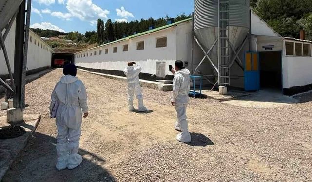 Yozgat'ta Kanatlı İşletmelerinde Biyogüvenlik Denetimleri Sürüyor