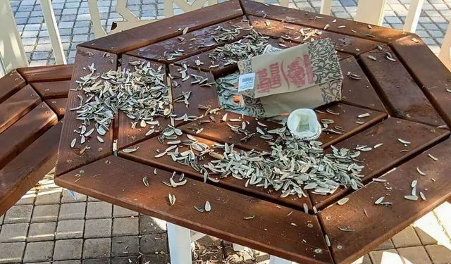 Yozgat'ta Parklar Tahrip Edildi! Belediye Başkanı Vatandaşlara Çağrı Yaptı
