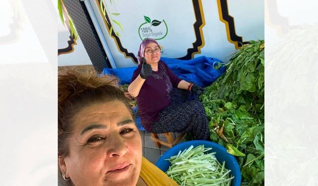 Pezik Turşusu Mesaisi Yozgat'ta Başladı