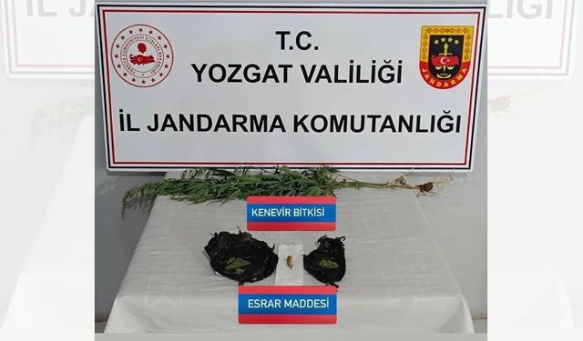 Yozgat, Sarıkaya’da Düğünde Uyuşturucu Operasyonu: 3 Şüpheli Yakalandı