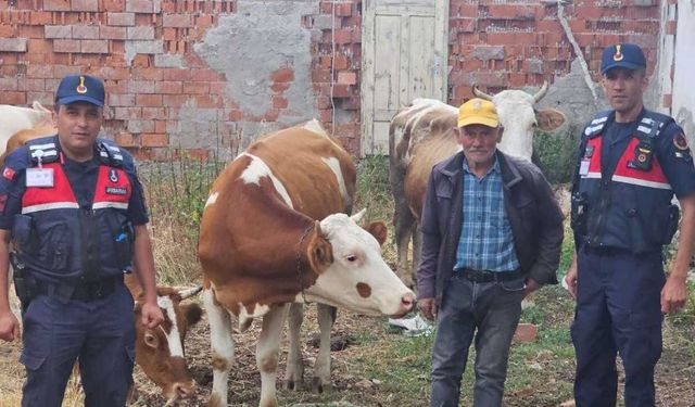 Yozgat'ta Jandarma Köylünün İmdadına Yetişti: Arazide Adım Adım İz Sürdüler!