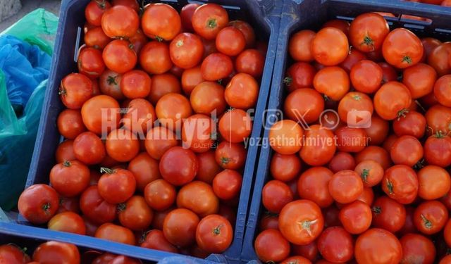Yozgat’ta Kışlık Sezonun En Taze Satışı Başladı: Doğrudan Tarladan Geliyor!