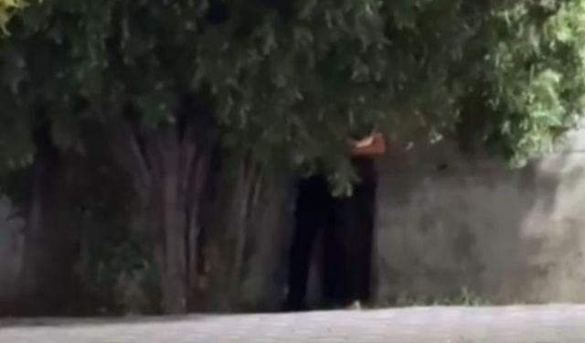 Yozgat'ta Parkta Çekilen Görüntüler Yok Artık Dedirtti