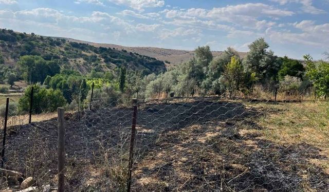 Yozgat'ta Yanlışlıkla Komşu Tarlasını Yaktı, Jandarma Müdahale Etti