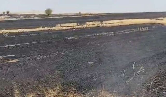 Akdağmadeni’nde Anız Yangınına 3 Bin 706 TL Ceza