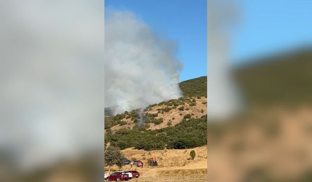 Saraykent’te Bağlar Alevlere Teslim Oldu: 5 Üzüm Bağı Yandı!