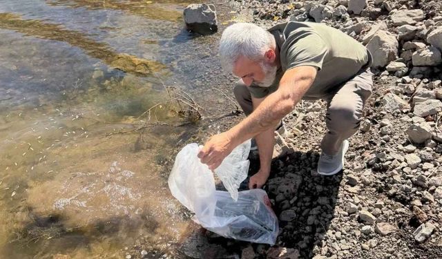 Sorgun Göletlerine 150 Bin Yavru Balık Bırakıldı
