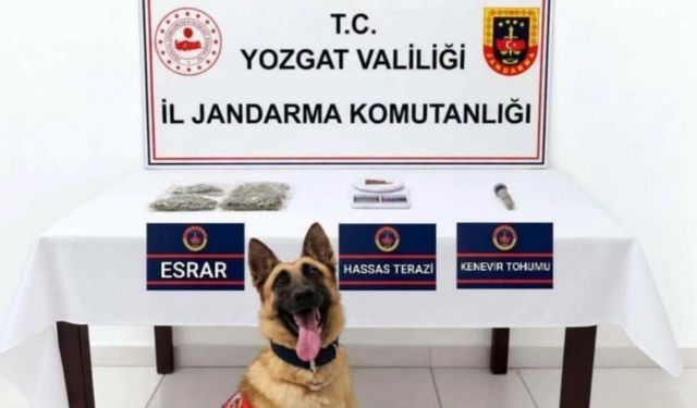 Sorgun’da Uyuşturucu Operasyonu: 1 Şüpheli Gözaltına Alındı