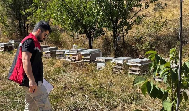 Yerköy’de Arıcılık Denetimleri Sürüyor: Köylerde Arı Tespit Çalışmaları Yapıldı
